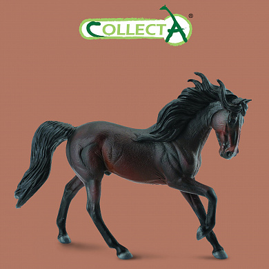 Collecta ������� ����������� ������� ����� 88463 � 3 ���