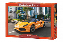 Castorland ���� �������� Arrinera 33 500 ��������� 2950/B-52950 � 9 ���