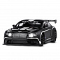 ������������ ������� Bentley Continental GT3 Concept ������ 1:24 ������ J�1251565 � 3 ���