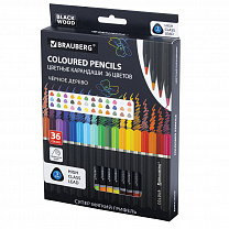 Brauberg ��������� ������� ������ ������ Black Wood 36 ������, ������ ������� 3 �� 182042
