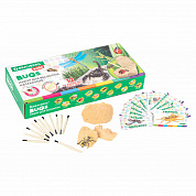 Brauberg ����� ��� �������� ���������, 12 �����, ��������, �����������, Kids 665127