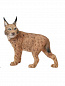 Collecta ����� ����� ��������-7 3 �� 89568 � 3 ���