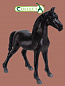 Collecta ������� ������ ��������� �������� ������ ������ M 88815b � 3 ���