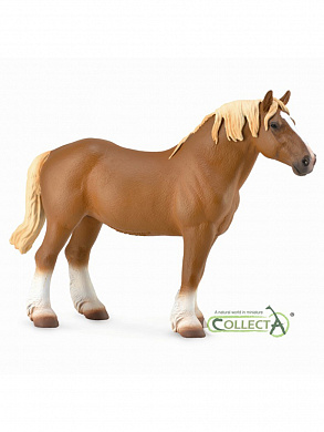 Collecta ������� ������ ������ ����������� ���������� XL 88819b � 3 ���