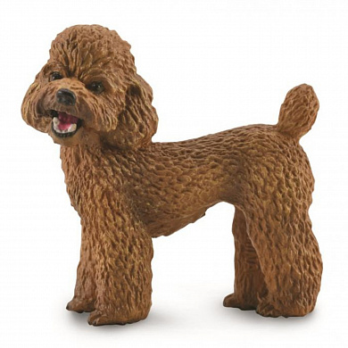 Collecta ������� ������ ����� � 88880 � 3 ���