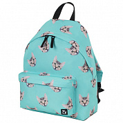 Brauberg ������ �������������, ����-������ 20 � Cats 229881