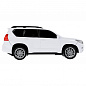 ��������� ������ �� �/� Toyota Prado 19 ��, ����, ����� �R�D�-19L-W� � 3 ���