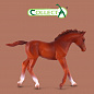Collecta ������� ���������� ������� � 88670b � 3 ���