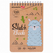 Brauberg �������� �����-������ 80 �/�2 165�240 �� 120 � Art Debut 112999