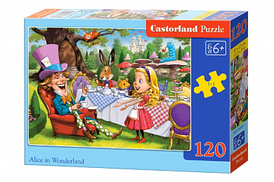 Castorland ����-midi ����� � ������ ����� 120 ��������� 3456/B6-13456 � 6 ���