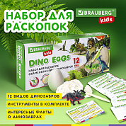 Brauberg ����� ��� �������� 12 ����� ����������, ��������, �����������Kids 664923