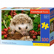 CastorLand ���� ���� � ������� 100 ��������� 1145/B9-111145 � 6 ���