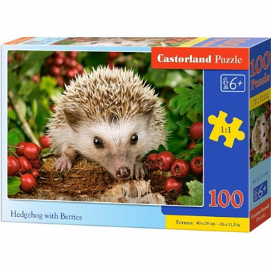 CastorLand ���� ���� � ������� 100 ��������� 1145/B9-111145 � 6 ���