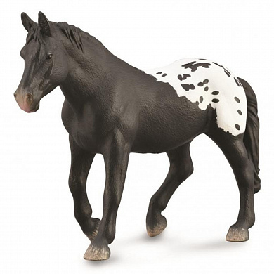 Collecta ������� ������ �������� ����� XL 88879b � 3 ���