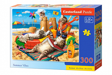 Castorland ���� ������ ��������� 300 ��������� 0460/B7-030460 � 8 ���