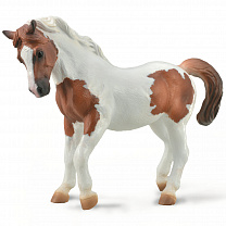 Collecta ������� ������ ������������ ���� XL 88929b � 3 ���