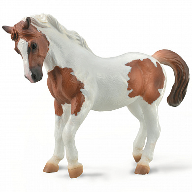 Collecta ������� ������ ������������ ���� XL 88929b � 3 ���