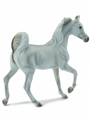 Collecta ������� �������� ������ ����� XL 88476 � 3 ���
