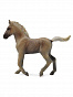 Collecta ������� ������ ��������� ������ ���������� M 88799b � 3 ���