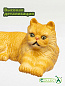 Collecta ������� ��� ���������� ������� S 88330 � 3 ���