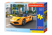 Castorland ����� �������� Arrinera 100 ������� B9-111015 � 5 ���