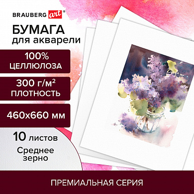 Brauberg ������ ��� �������� 300 � 460x660 �� ������� �����, 10 ������ Art Premiere 113233