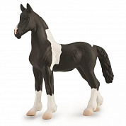 Collecta ������� ������ ��������� ����� ����� M 88893b � 3 ���