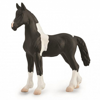 Collecta ������� ������ ��������� ����� ����� M 88893b � 3 ���