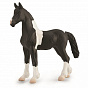Collecta ������� ������ ��������� ����� ����� M 88893b � 3 ���