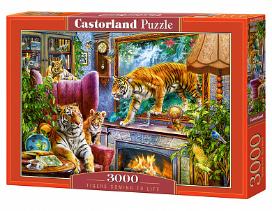 Castorland ���� ����� ����������� � ���������� 3000 ��������� 0556/C-300556 � 14 ���