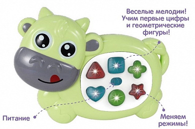 Zhorya ��������� ���� ������� (����, ����) ZYA-A2904-2 � 6 �������