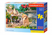Castorland ���� ������ 100 ��������� 1220/B9-111220 � 6 ���