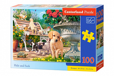 Castorland ���� ������ 100 ��������� 1220/B9-111220 � 6 ���