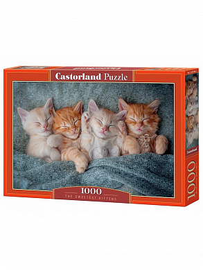 Castorland ����� ������� ������ 1000 ������� 5144/C-105144 � 10 ���
