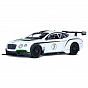������������ ������� Bentley Continental GT3 Concept ����� 1:24 ������ J�1200125 � 3 ���