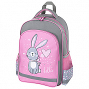    School, 1 , 3  Adorable bunny 270654