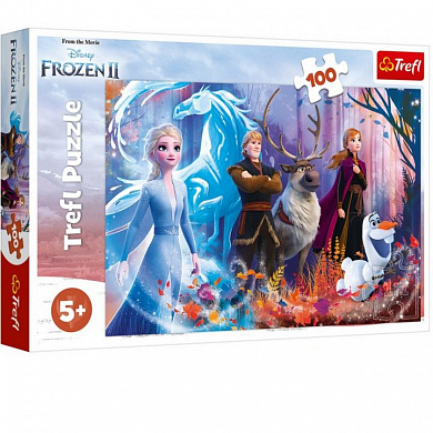 Trefl ���� ������� ����� Frozen-2 100 ��������� TR16366 � 5 ���