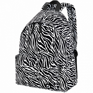 Brauberg ������ �������������, ����-������ 20 � Zebra 271680