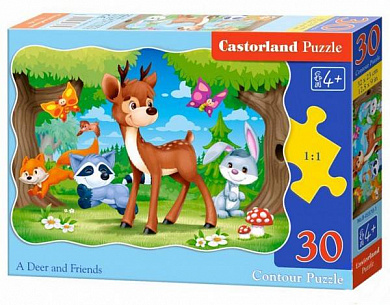 Castorland ����-midi �������� � �������� 30 ��������� 3570/B4-03570 � 4 ���