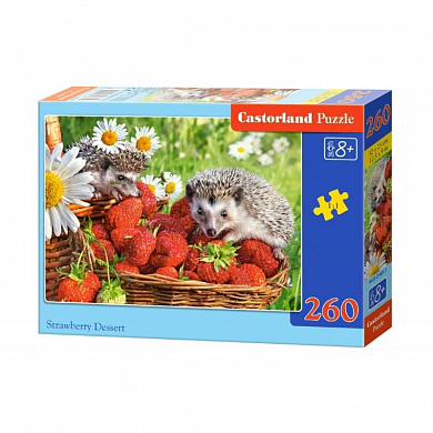Castorland ����-midi ����� � �������� 260 ��������� 7484/�2-27484 � 8 ���