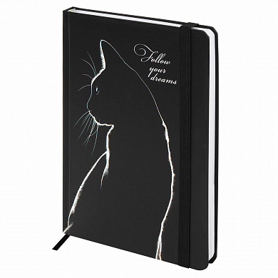 Brauberg ���������� �������������� � �������� �5 ������� 160 � Black cat 116305