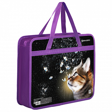 Brauberg ����� �� ������ � ������� �4 1 ��������� ������� 80 �� Dream cat 270868