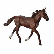 Collecta ������� ������ ��������������� ������ ������� ���������� XL 88644b � 3 ���