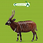 Collecta ������� �������� ����� XL 88809b � 3 ���