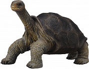 Collecta Абингдонская слоновая черепаха 88619b с 3 лет