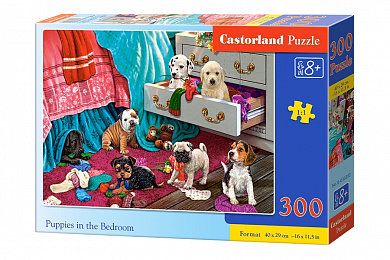 Castorland ���� ����� � ������� 300 ��������� 0392/B7-030392 � 8 ���