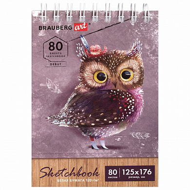 Brauberg �������� ����� ������ 120 �/�2 125�176 �� 80 � Art Debut 112988