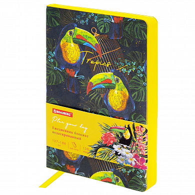 Brauberg ���������� �������������� B6 127�186 �� Vista ��� ���� ������ 136 � Toucan tropics 112114