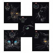 Hatber Тетрадь 48 листов клетка выборочный лак, Royal Cats (Кошки), комплект 10 шт, 48Т5вмB1(T167168