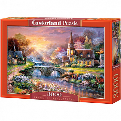 Castorland ���� ���� ����� ���� 3000 ��������� 0419/C-300419 � 14 ���